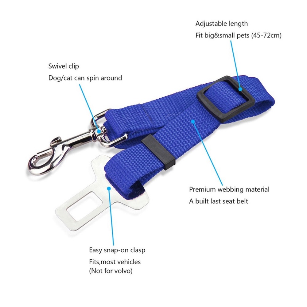 Dog seatbelt